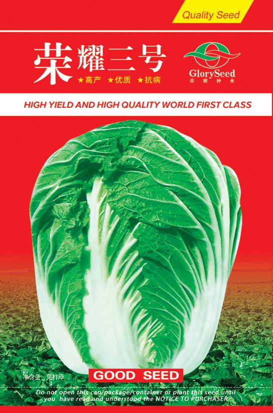 荣耀三号——秋播白菜